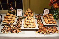 FRAN NORSTROM GUILD CARNIWINE 2.0